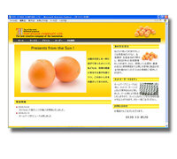 ホームページサンプル【005】Orange